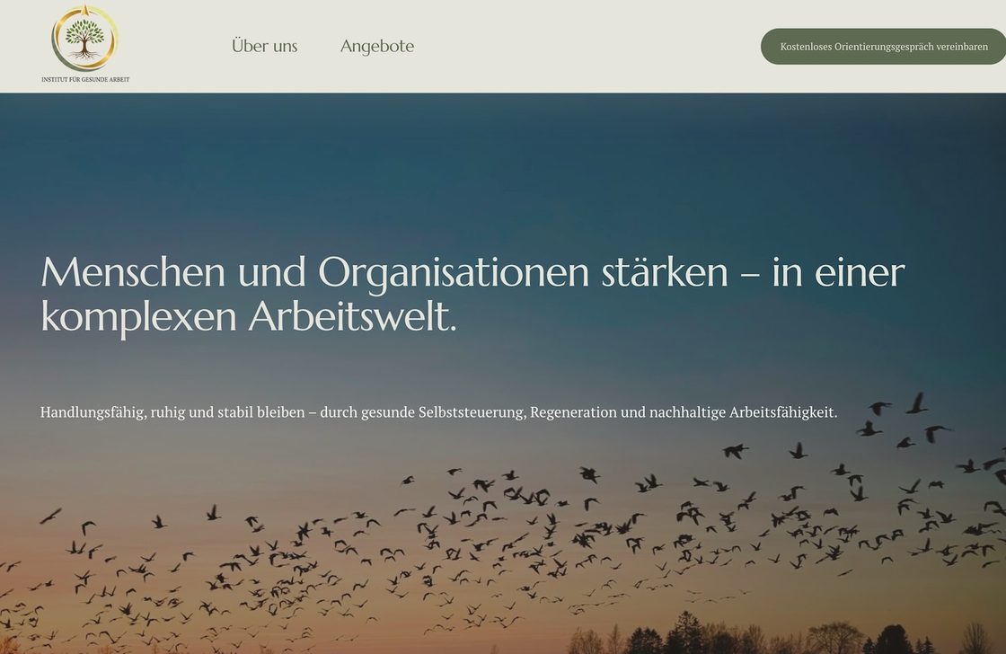 Website f&uuml;r Institut f&uuml;r Gesunde Arbeit